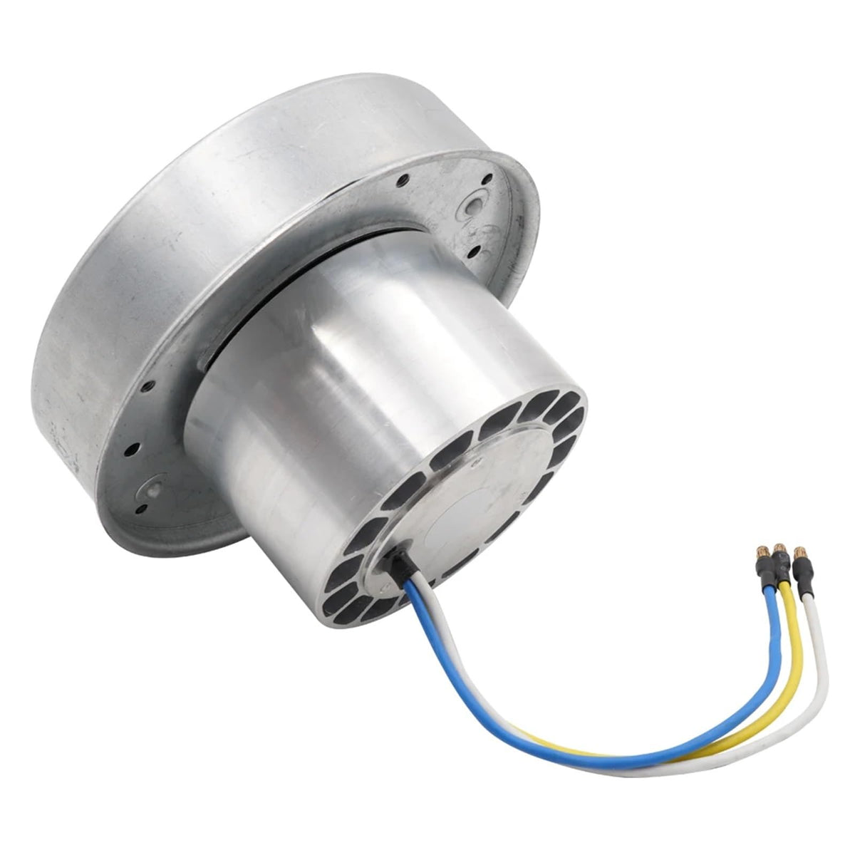 130120 DC 24V/48V Brushless High Pressure Large Air Volume Vacuum Cleaner Seeder Mechanical Equipment Blower, Centrifugal Fan(24V Blower and Drive)